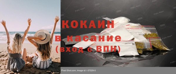 гашик Алексин