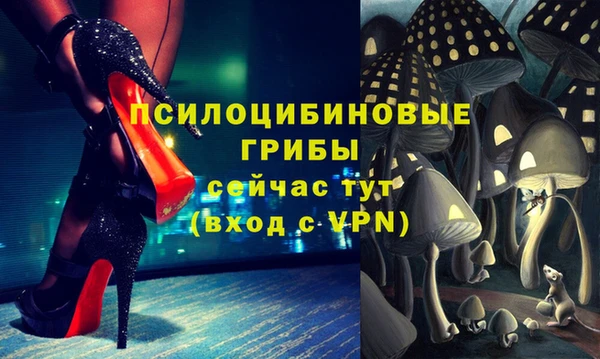 spice Абинск