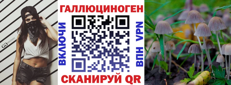 Галлюциногенные грибы Psilocybe  это какой сайт  Новоалтайск 