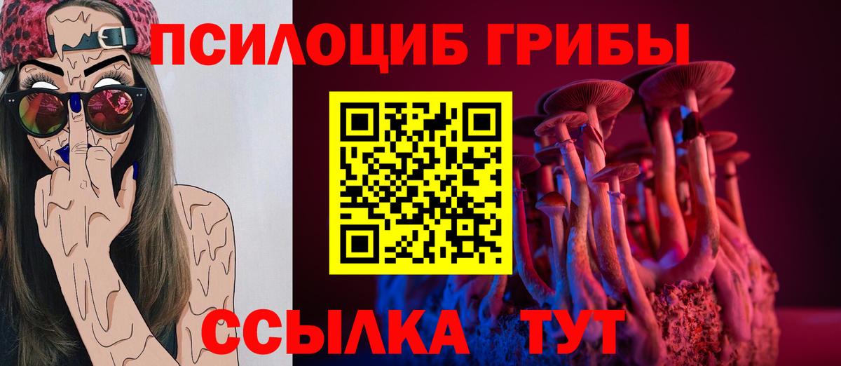 Новоалтайск  Псилоцибиновые грибы ЛСД  Вход с VPN 